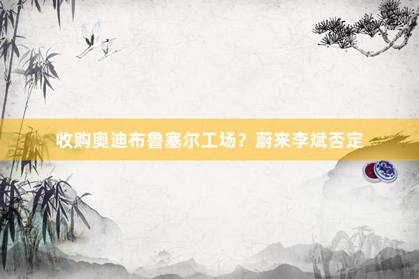 收购奥迪布鲁塞尔工场？蔚来李斌否定