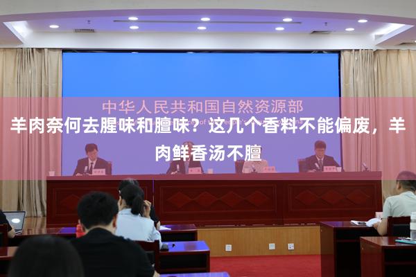羊肉奈何去腥味和膻味？这几个香料不能偏废，羊肉鲜香汤不膻