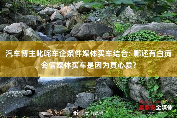 汽车博主叱咤车企条件媒体买车结合: 哪还有白痴会信媒体买车是因为真心爱?