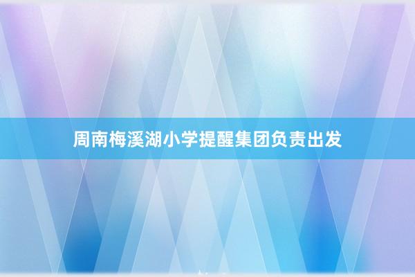 周南梅溪湖小学提醒集团负责出发
