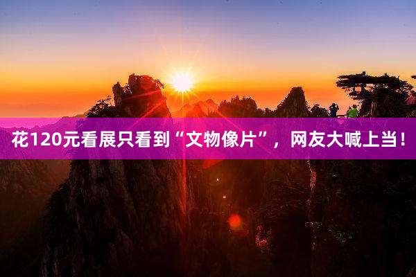 花120元看展只看到“文物像片”,网友大喊上当!