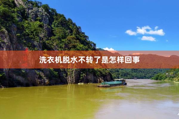 洗衣机脱水不转了是怎样回事