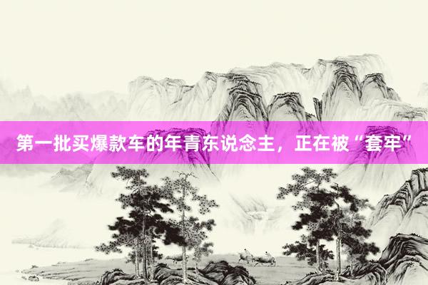 第一批买爆款车的年青东说念主，正在被“套牢”